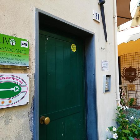 אלבניה Casa Vacanza L'Ulivo מראה חיצוני תמונה